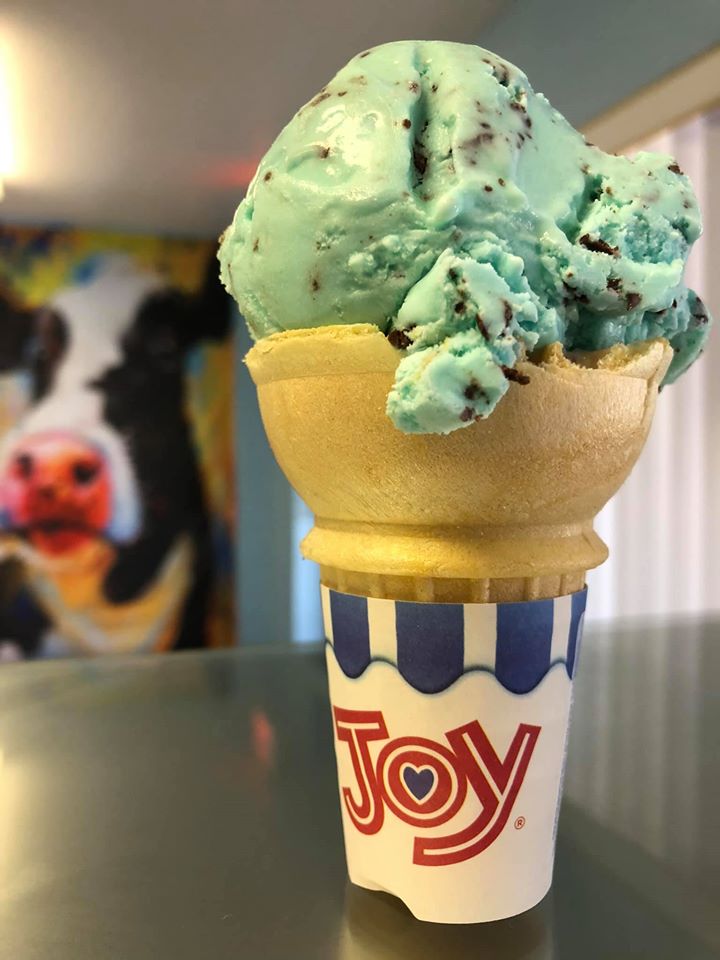 20+ Places for Ice Cream Near You: Lakeland + Polk County