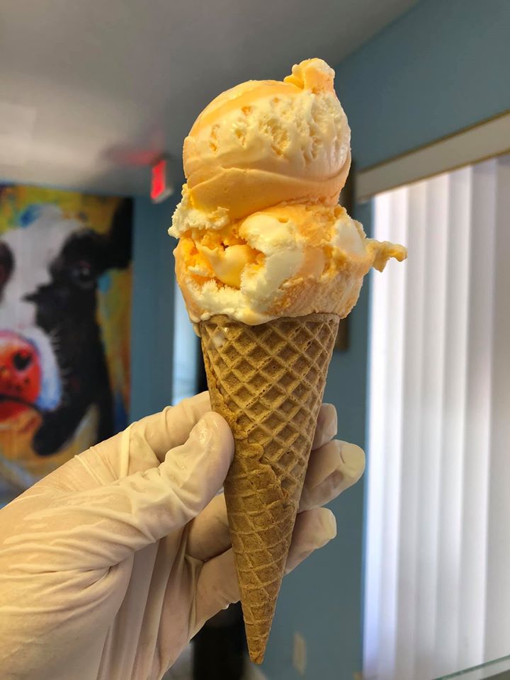 20+ Places for Ice Cream Near You: Lakeland + Polk County